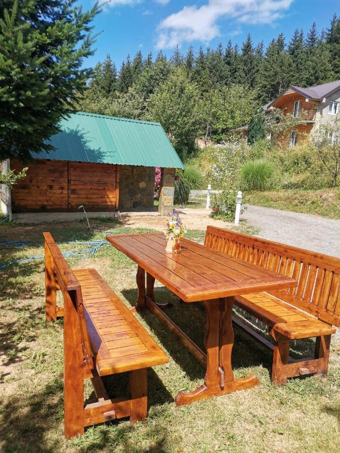 Bungalov Zivkovic Mojkovac Kültér fotó